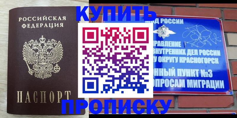 прописка гарантия в Тосно